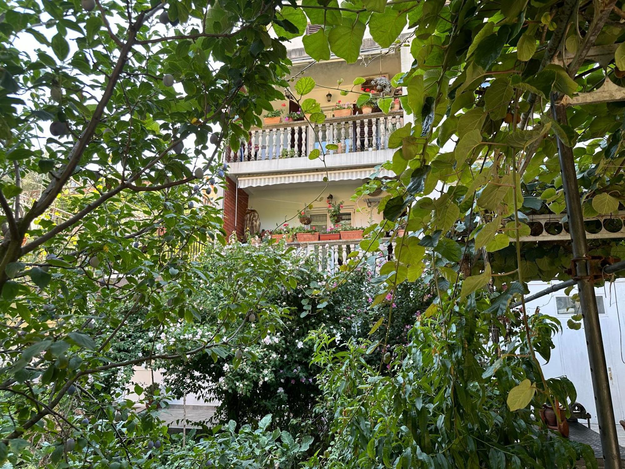Apartments Suzana Herceg Novi Bagian luar foto